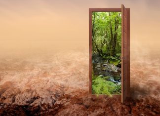 Двери с защитой от выцветания для долговечной красоты вашего интерьера