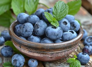 Лучший грунт для голубики: секреты богатого урожая