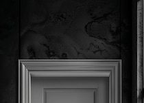 Эстетика и надежность дверей с металлическими накладками