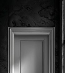 Эстетика и надежность дверей с металлическими накладками