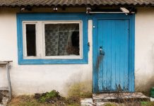 Выбор идеальных дверей для мастерских на даче