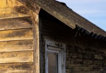 Как выбрать двери для погреба на даче