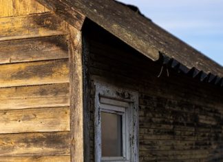 Как выбрать двери для погреба на даче