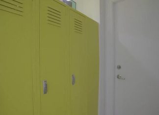 Крашенные двери с матовым покрытием как элемент современного интерьера