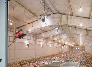 Как ухаживать за цокольным сайдингом