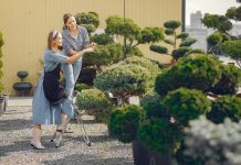 Ландшафтный дизайн: преобразуя пространство, создавая гармонию