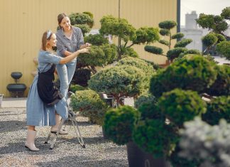 Ландшафтный дизайн: преобразуя пространство, создавая гармонию