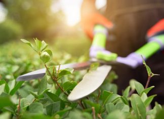 Механизмы для сада и огорода: современные помощники для комфортного земледелия