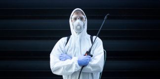 Как навсегда избавиться от грызунов: дератизация крыс — эффективные решения и профилактика