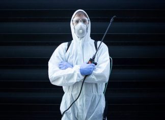 Как навсегда избавиться от грызунов: дератизация крыс — эффективные решения и профилактика