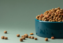 Какой корм Роял Канин выбрать: подробный гид по линейкам и видам