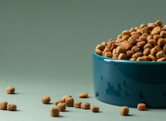 Какой корм Роял Канин выбрать: подробный гид по линейкам и видам